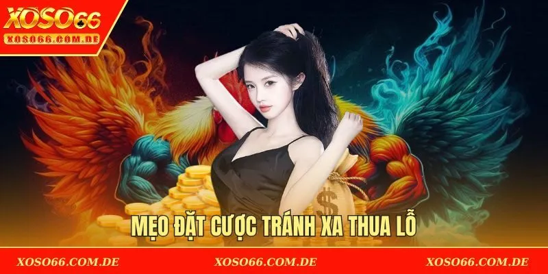 Mẹo đặt cược tránh xa thua lỗ