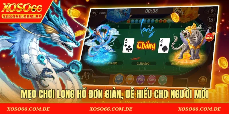 Mẹo chơi Long Hổ đơn giản, dễ hiểu cho người mới