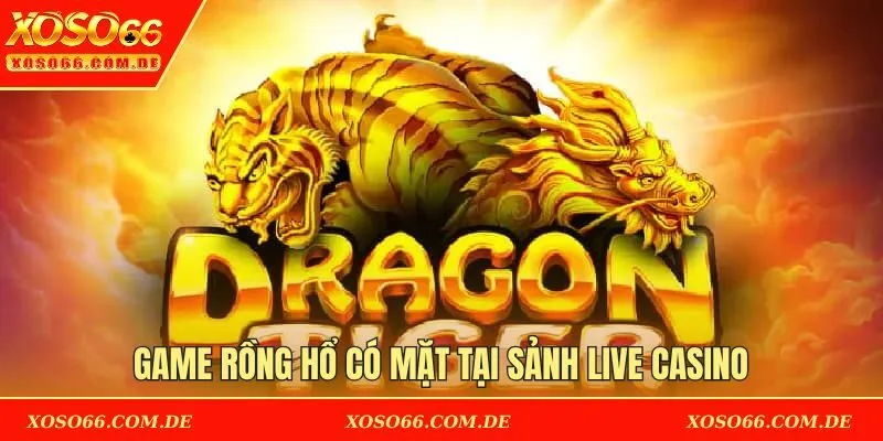 Game Rồng Hổ có mặt tại sảnh Live Casino
