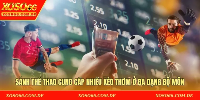 Sảnh Thể thao cung cấp nhiều kèo thơm ở đa dạng bộ môn